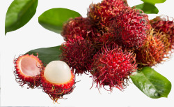 水果热带水果海南特产红毛丹素材