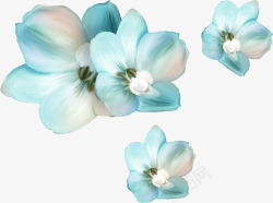 淡雅蓝色花朵图素材