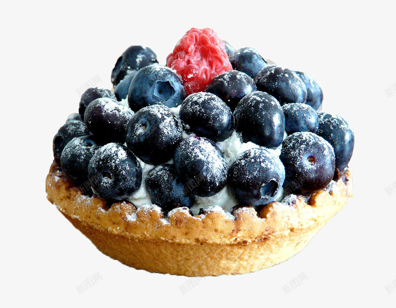 美味的蓝莓甜点实物图png免抠素材_88icon https://88icon.com 树莓美味可口水果 甜点 蓝莓蓝色甜挞蛋糕