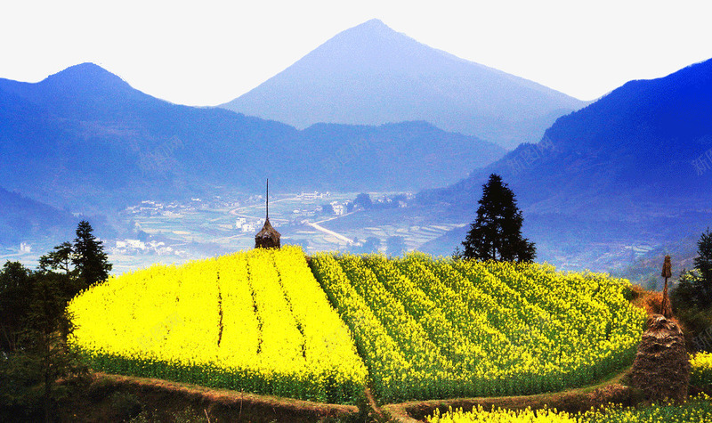 婺源风景图png免抠素材_88icon https://88icon.com 婺源风景图 旅游景区 江西婺源 著名景点
