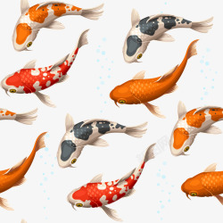 鲤鱼装饰插画矢量图素材