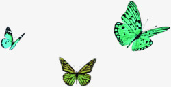 绿色荧光蝴蝶背景素材