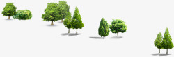 春季郊外植物树林大树素材