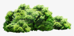 从早晨小清新绿色植物从高清图片