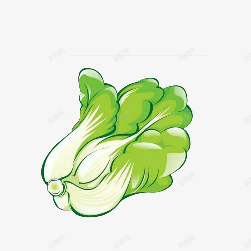 手绘新鲜大白菜png免抠素材_88icon https://88icon.com 手绘图 新鲜大白菜 生鲜手绘 绿油油的叶子 绿色食材