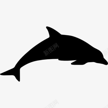 海豚动物剪影图标图标