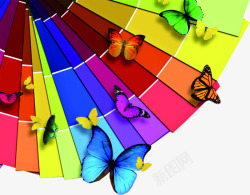 彩色蝴蝶和彩色木板素材