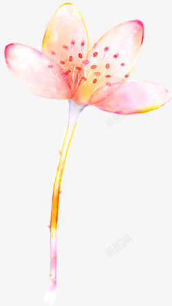 淡雅粉色花朵植物素材