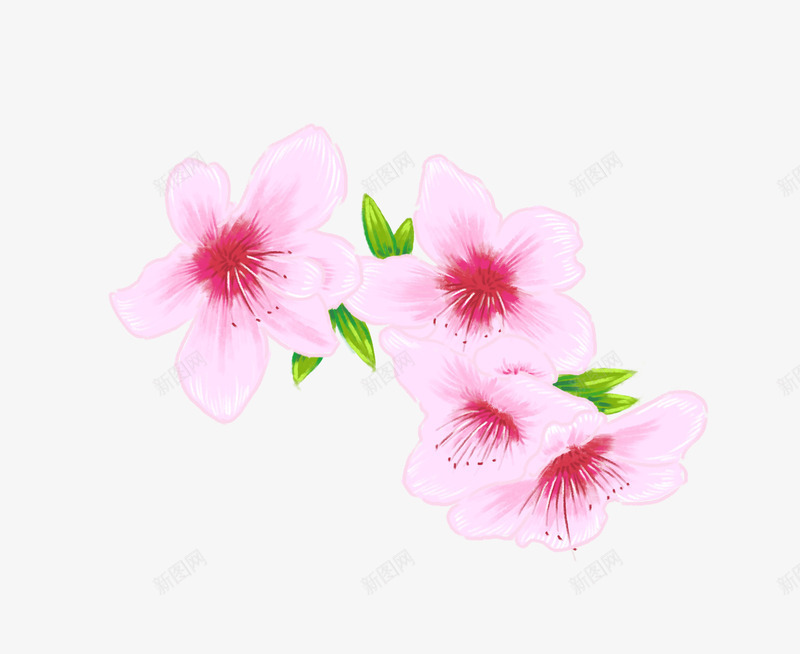 手绘春天桃花psd免抠素材_88icon https://88icon.com 手绘 春天 桃花 花朵