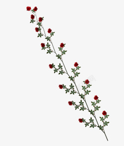 手绘红色花朵小碎花素材