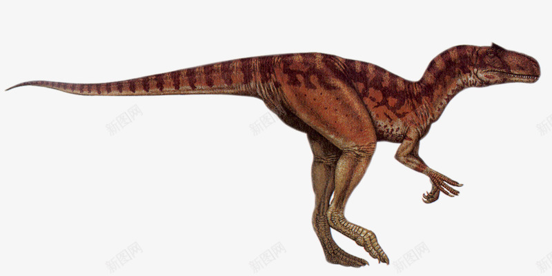 恐龙png免抠素材_88icon https://88icon.com 侏罗纪 动物 大型恐龙 恐龙 灭绝生物