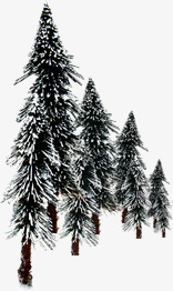 创意合成效果冬天下雪的松树png免抠素材_88icon https://88icon.com 下雪 冬天 创意 合成 效果 松树