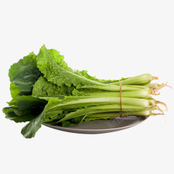 绿菜新鲜脆嫩小白菜高清图片