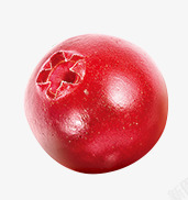 红色质感新鲜的蔓越莓素材