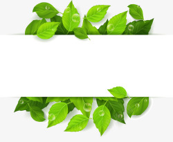 输入绿色树叶文字输入框高清图片