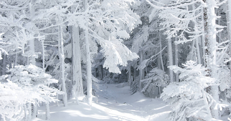 白色冬天的雪景摄影png免抠素材_88icon https://88icon.com 冬天 摄影 白色 雪景