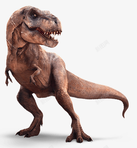 棕色大气恐龙装饰图案png免抠素材_88icon https://88icon.com 免抠PNG 大气 恐龙 棕色 装饰图案