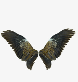 创意地产天使的翅膀老鹰翅膀高清图片