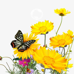 植物黄色蝴蝶气泡效果素材