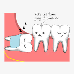 卡通手绘智齿睡觉阻生牙齿插画免素材