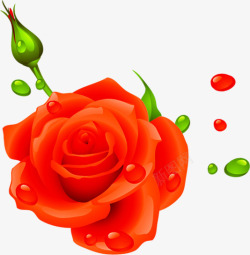红色玫瑰喜庆婚庆素材