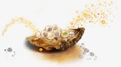 珍珠贝壳装饰图案素材