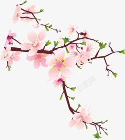 手绘清新粉色桃花树枝装饰素材