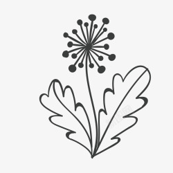 牡丹花免抠图素材手绘玫蒲公英花卡通高清图片