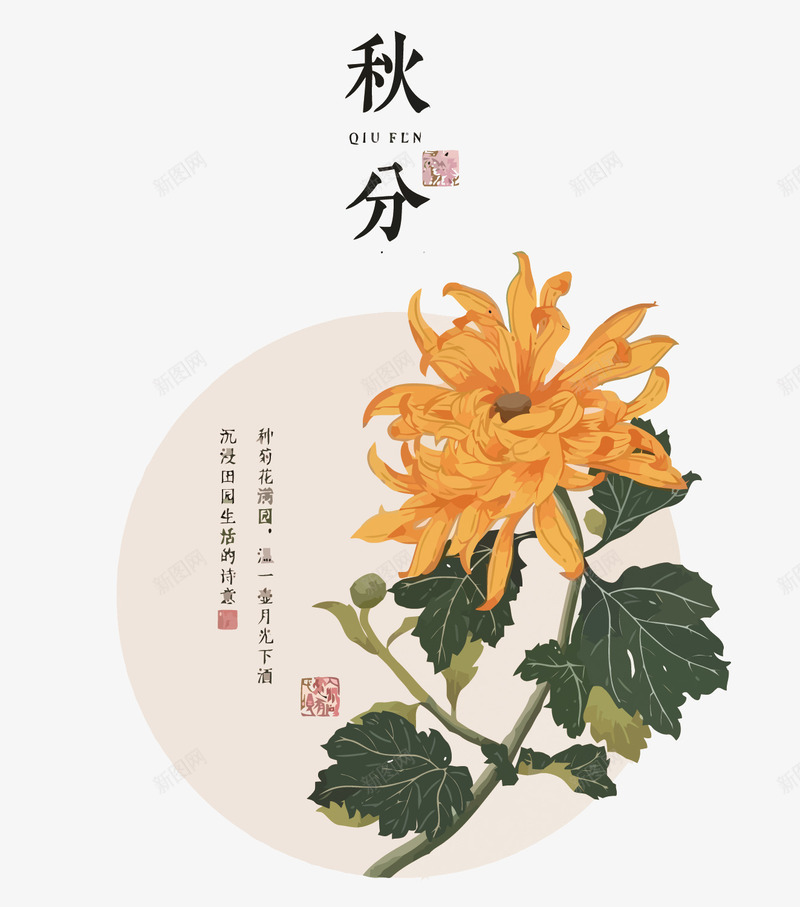 秋分中国风菊花矢量图eps免抠素材_88icon https://88icon.com 中国风 二十四节气 免扣PNG图 卡通 手绘 矢量图 秋分矢量 节气 菊花 菊花图案