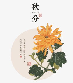 秋分节气报二十四节气秋分中国风菊花矢量图高清图片