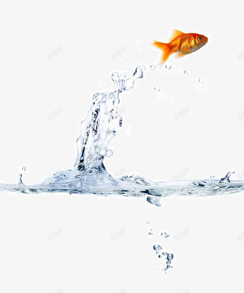 跃出水面奔向自由的鱼png免抠素材_88icon https://88icon.com 勇敢 向往 坚持 奋斗 水面 自由 跳跃 飞 鱼 鱼跃出水面