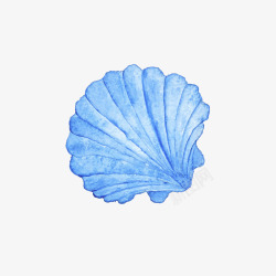 漂亮扇贝贝壳手绘花形扇贝高清图片