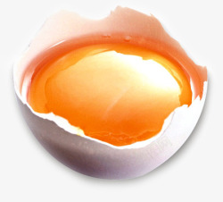 蛋黄蛋壳食材营养素材