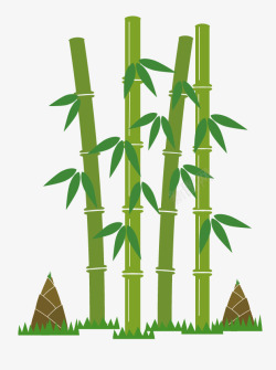 竹子节节高可爱小竹叶翠绿竹林高清图片