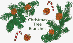 松树叶卡通圣诞松树枝松果装饰边框矢量图高清图片