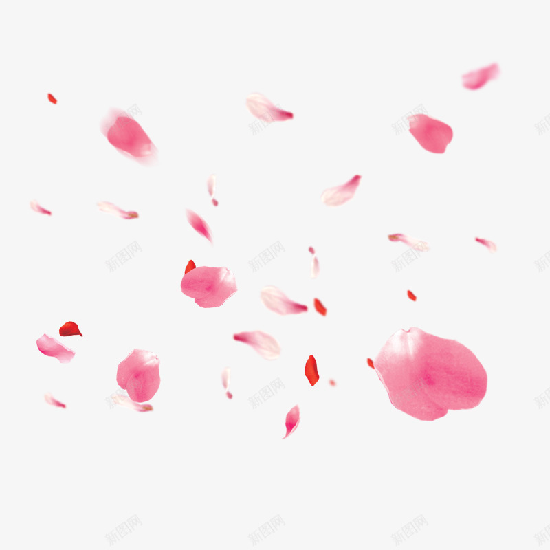 漂浮的花瓣png免抠素材_88icon https://88icon.com 悬浮的花瓣 粉色花瓣 飘落下来的花瓣 鲜艳