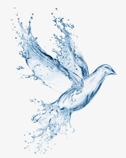 水珠创意液体水鸟造型素材
