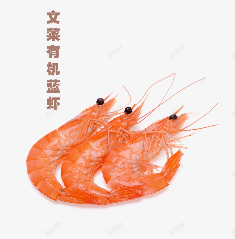 文莱有机蓝虾psd免抠素材_88icon https://88icon.com 生物 蓝虾 虾子 食物