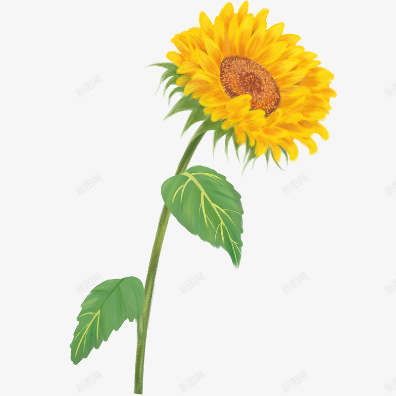 植物向日葵黄色png免抠素材_88icon https://88icon.com 向日葵 手绘 抽象向日葵 植物 黄色的