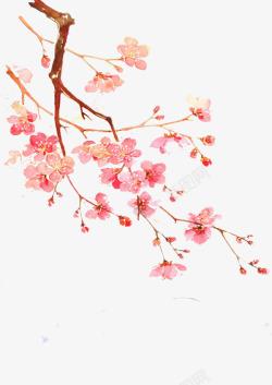 梅花枝装饰中国风粉色花枝花瓣高清图片