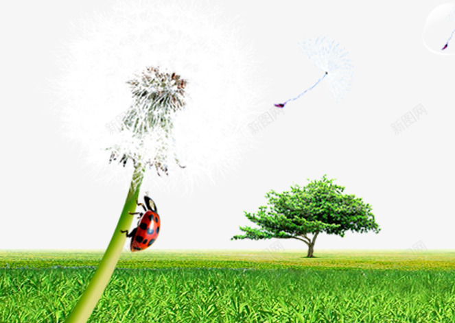 蒲公英草地psd免抠素材_88icon https://88icon.com 叶子 商务 城市建筑 绿树 草地