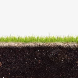 土壤剖面绿色草皮横剖面高清图片