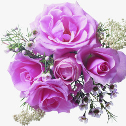 紫色玫瑰婚庆砖戒海报素材