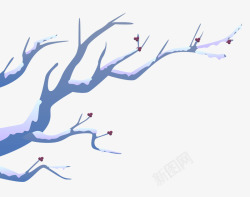 挂在树枝上的雪蓝色树枝上的雪高清图片