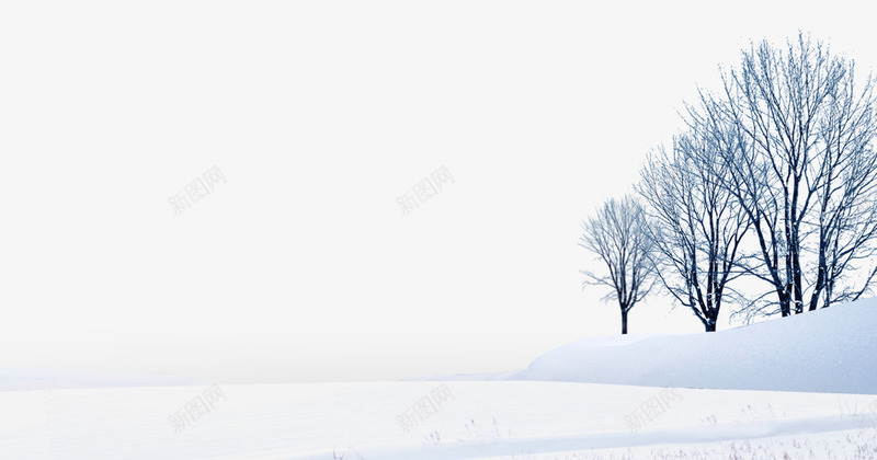 美丽的雪景png免抠素材_88icon https://88icon.com 冬天 冬季 冬季素材 树木 白色背景素材 雪地 雪景素材 雪花