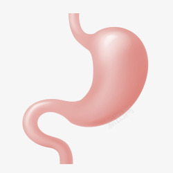 胃人体胃器官卡通插画高清图片
