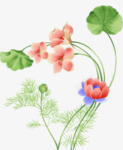 手绘创意合成立绘花卉植物素材