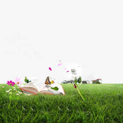 翻开的书页草地希望素材