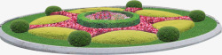 彩色六角星花圃花坛园艺高清图片