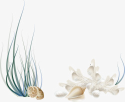 贝壳植物装饰图案PP3壁纸素材